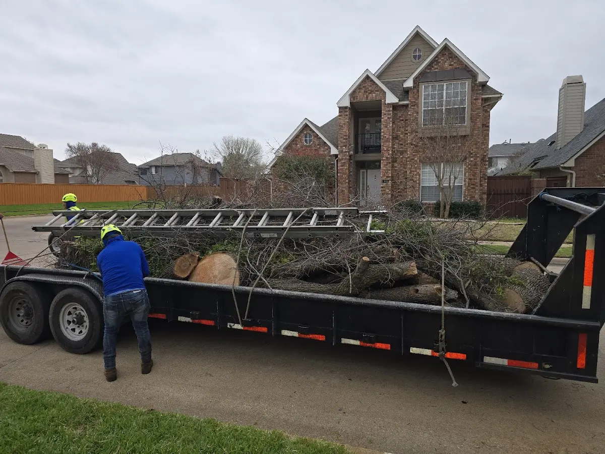 Expert Tree Fertilization with proper safety equipment in Speer
